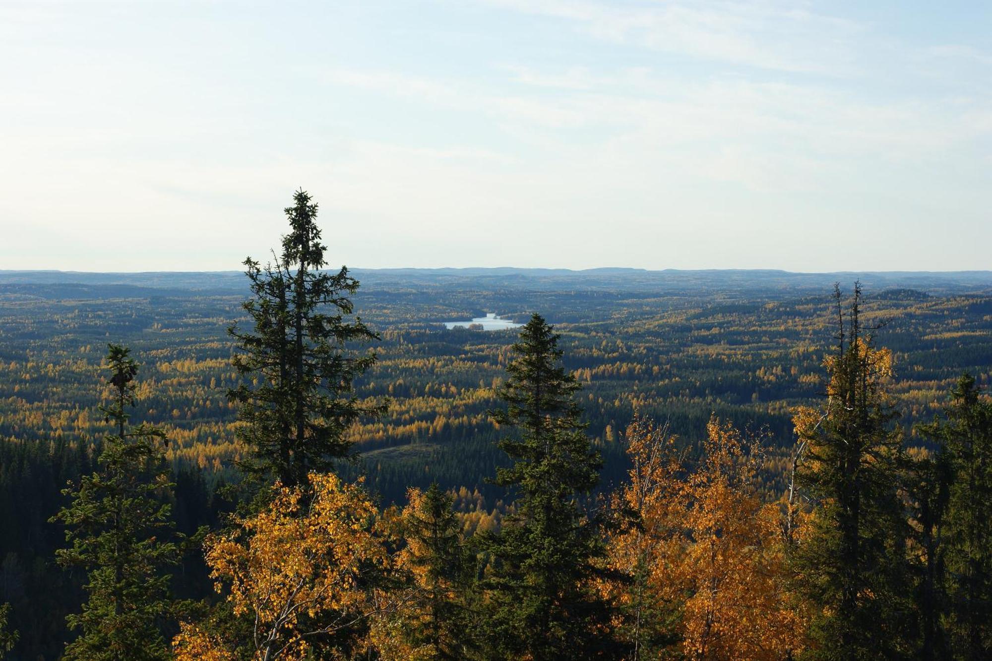 Paimentupa Villa Kolinkylä Екстериор снимка