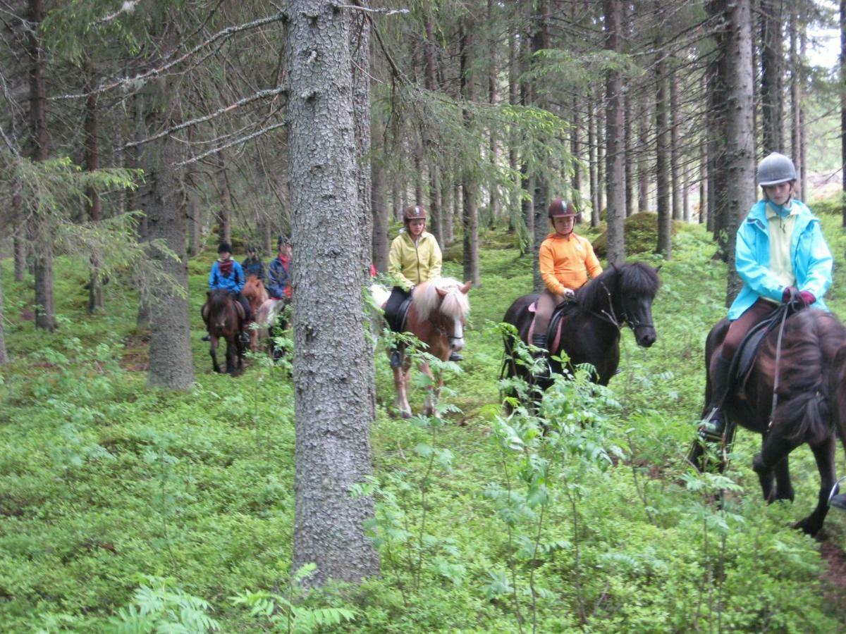Paimentupa Villa Kolinkylä Екстериор снимка